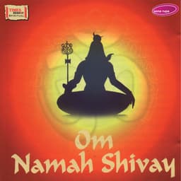 Om Namah Shivay - Rakesh Chaurasia