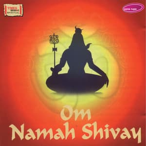 Om Namah Shivay - Rakesh Chaurasia
