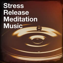 Stress release meditation music - Sounds of Nature White Noise for Mindfulness, Meditation and Relaxation