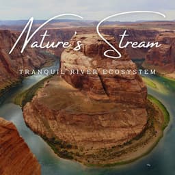 Nature's Stream Chronicles: Waterborne Tales - The Nature Soundscapes