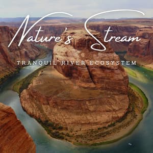 Nature's Stream Chronicles: Waterborne Tales - The Nature Soundscapes