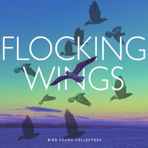 Flocking Wings - Bird Sound Collectors