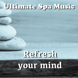 Refresh Your Mind - Ultimate Spa Music