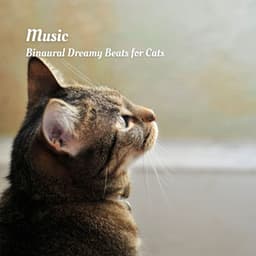 Music: Binaural Dreamy Beats for Cats - Sleepy Cats