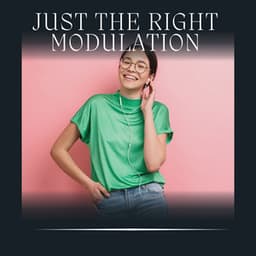 Just the Right Modulation - White Noise for Sleeping