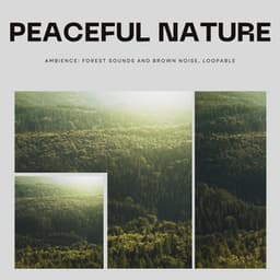 Peaceful Nature Ambience: Forest Sounds and Brown Noise, Loopable - Echoes Of Nature
