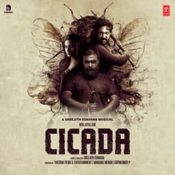 Cicada - Sreejith Edavana