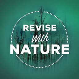 Revise with Nature - Exam Study Nature Music Nature Sounds