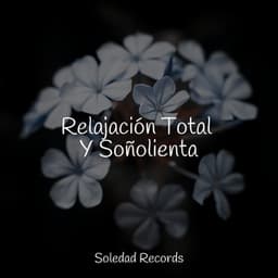 Relajación Total Y Soñolienta - Musica Para Dormir y Sonidos de la Naturaleza