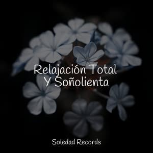 Relajación Total Y Soñolienta - Musica Para Dormir y Sonidos de la Naturaleza