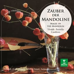Zauber der Mandoline - Claudio Scimone