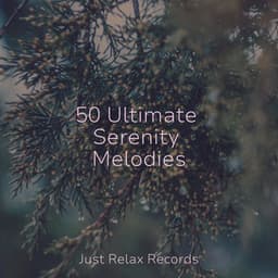 50 Ultimate Serenity Melodies - Drowsy Cloud