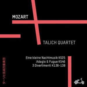 Mozart: Eine Kleine Nachtmusik K525, Adagio & Fugue K546, 3 Divertimenti K136-138 - Wolfgang Amadeus Mozart