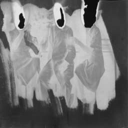 Amorosa Sensitiva - Benjamin Finger