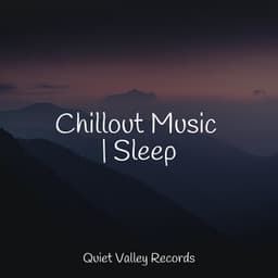 Chillout Music | Sleep - Yoga Rain