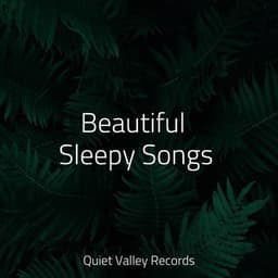 Beautiful Sleepy Songs - Forest Soundscapes