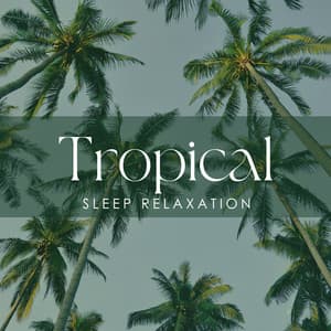 Tropical Sleep Relaxation: Summer Nap Time, Relaxing Music, Exotic Sleepy Soundscapes - Exotic New Age Master