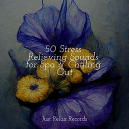 50 Stress Relieving Sounds for Spa & Chilling Out - Rest & Relax Nature Sounds Artists