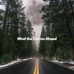 Mind the Curves Ahead - Chill Lounge Hotel