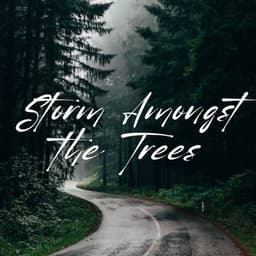 Storm Amongst the Trees - Asian Spa Music