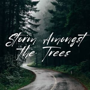 Storm Amongst the Trees - Asian Spa Music