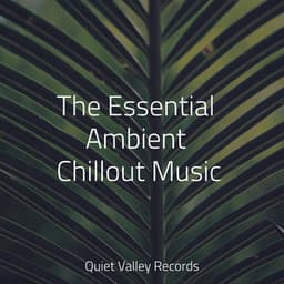 The Essential Ambient Chillout Music - Tailormade Ocean Waves