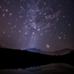 Sounds of Nature | Calm Music | Meditation Focus - Relaxed Minds