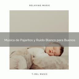 Música de Pajaritos y Ruido Blanco para Buenos - Ruido Blanco Para Estudiar