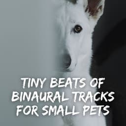 Tiny Beats of Binaural Tracks for Small Pets - Binaural Beats MT