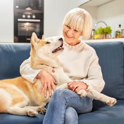 Pet's Serenity: Piano Rain's Calming Melodies - The Friendly Piano