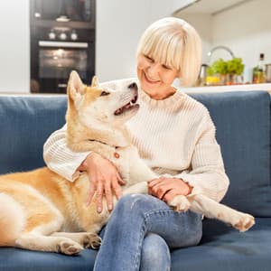 Pet's Serenity: Piano Rain's Calming Melodies - The Friendly Piano