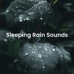 Sleeping Rain Sounds - Nature Tribe