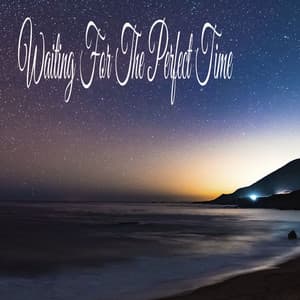 Waiting For The Perfect Time - Sleeping Music