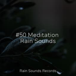 #50 Meditation Rain Sounds - Yoga Music