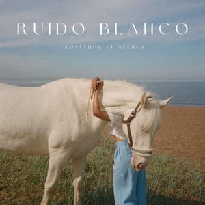 Ruido Blanco: Proveedor De Sueños - Música para Dormir Rápido