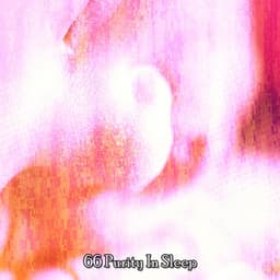 66 Purity in Sleep - Chill Out 2016