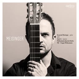 Meisinger - Krzysztof Meisinger