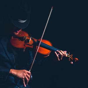 Peaceful Orchestra for Pet Stress Relief - Charles Anderson