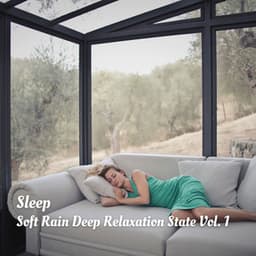 Sleep: Soft Rain Deep Relaxation State Vol. 1 - Reiki