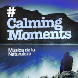 # Calming Moments - Música de la Naturaleza