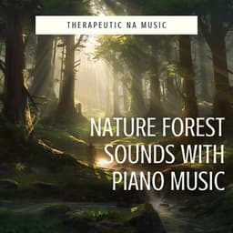 Nature Forest Sounds with Piano Music - Therapeutic NA Music
