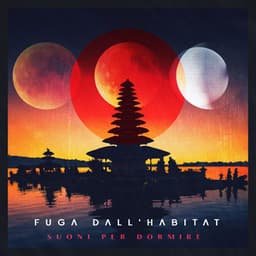 Fuga dall'habitat - Suoni per Dormire