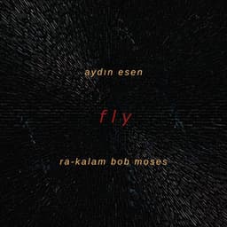 Fly - Aydın Esen