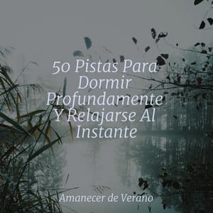 50 Pistas Para Dormir Profundamente Y Relajarse Al Instante - Spa