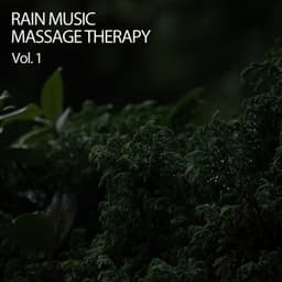 Rain Music Massage Therapy Vol. 1 - Waterfall Sounds