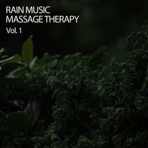 Rain Music Massage Therapy Vol. 1 - Waterfall Sounds