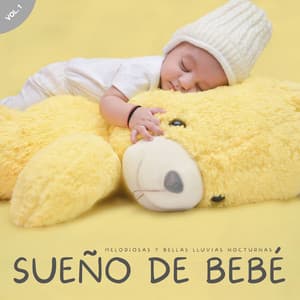 Sueño De Bebé: Melodiosas Y Bellas Lluvias Nocturnas Vol. 1 - Grabaciones de campo de la naturaleza