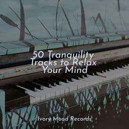 50 Tranquility Tracks to Relax Your Mind - Relaxing Mindfulness Meditation Relaxation Maestro