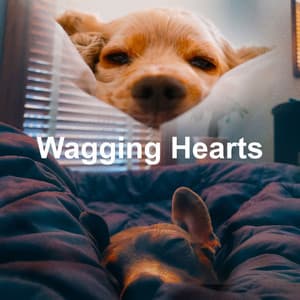 Wagging Hearts - Dog Chill Out Music
