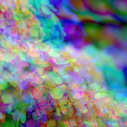 Retro Bossa Nova Piano Duo - Bgm for Chill Out Reflections - Jazz Lounge Cafe